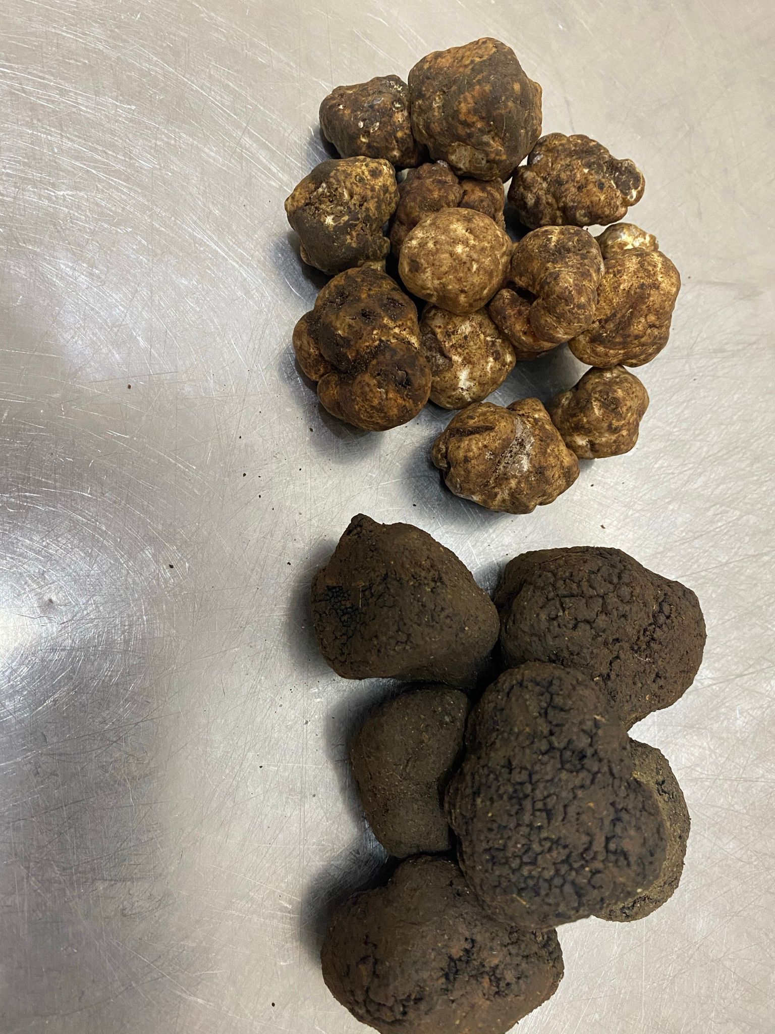 Schwarze und weiße Trüffel